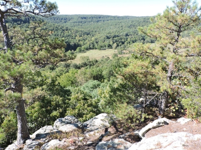 Large Farm 525 Acre Timber Pasture For Sale Harrison - image 30
