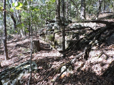 Large Farm 525 Acre Timber Pasture For Sale Harrison - image 24