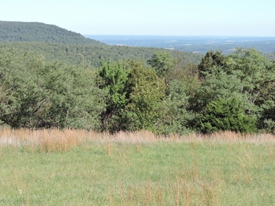 Large Farm 525 Acre Timber Pasture For Sale Harrison - image 28