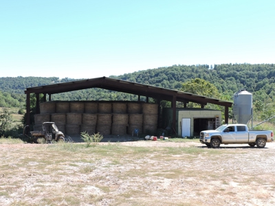 Large Farm 525 Acre Timber Pasture For Sale Harrison - image 39