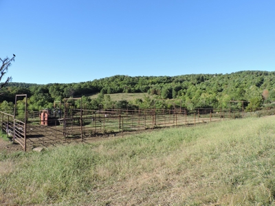 Large Farm 525 Acre Timber Pasture For Sale Harrison - image 2