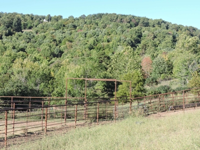 Large Farm 525 Acre Timber Pasture For Sale Harrison - image 4