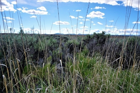 Residential Land For Sale Elko County - image 3