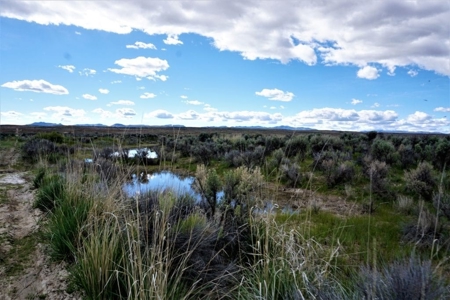 Residential Land For Sale Elko County - image 4