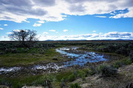 Residential Land For Sale Elko County - image 1