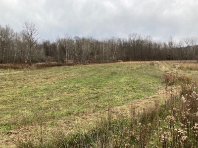 Real Estate Auction 42 +/- Acres - image 2