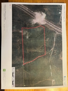 Real Estate Auction 42 +/- Acres - image 1