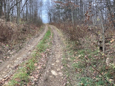 Real Estate Auction 42 +/- Acres - image 9