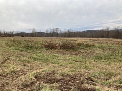 Real Estate Auction 42 +/- Acres - image 4