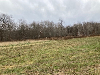 Real Estate Auction 42 +/- Acres - image 3