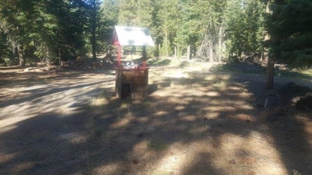 Cabin In The Woods/1,436 Sq. Country Home/Garage/Acreage - image 10
