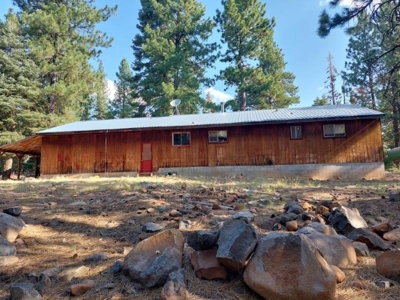 Cabin In The Woods/1,436 Sq. Country Home/Garage/Acreage - image 7