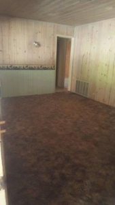 Cabin In The Woods/1,436 Sq. Country Home/Garage/Acreage - image 18