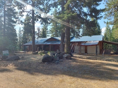 Cabin In The Woods/1,436 Sq. Country Home/Garage/Acreage - image 4
