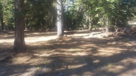 Cabin In The Woods/1,436 Sq. Country Home/Garage/Acreage - image 11