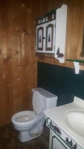 Cabin In The Woods/1,436 Sq. Country Home/Garage/Acreage - image 21