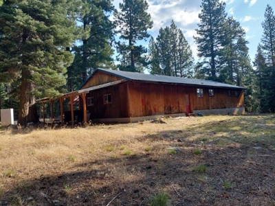 Cabin In The Woods/1,436 Sq. Country Home/Garage/Acreage - image 8