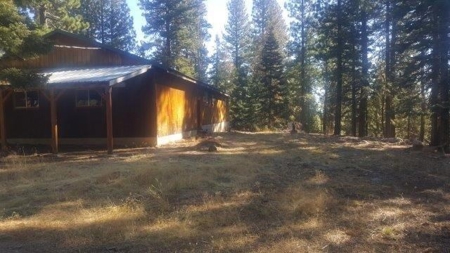 Cabin In The Woods/1,436 Sq. Country Home/Garage/Acreage - image 14