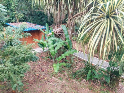 Tropical Island Villa with Lush Garden, Isla Colon - image 14