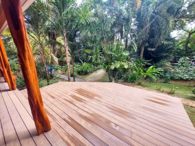 Tropical Island Villa with Lush Garden, Isla Colon - image 4