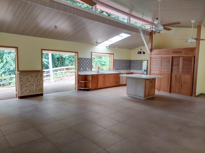 Tropical Island Villa with Lush Garden, Isla Colon - image 25