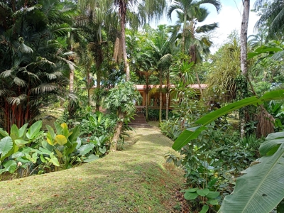 Tropical Island Villa with Lush Garden, Isla Colon - image 43