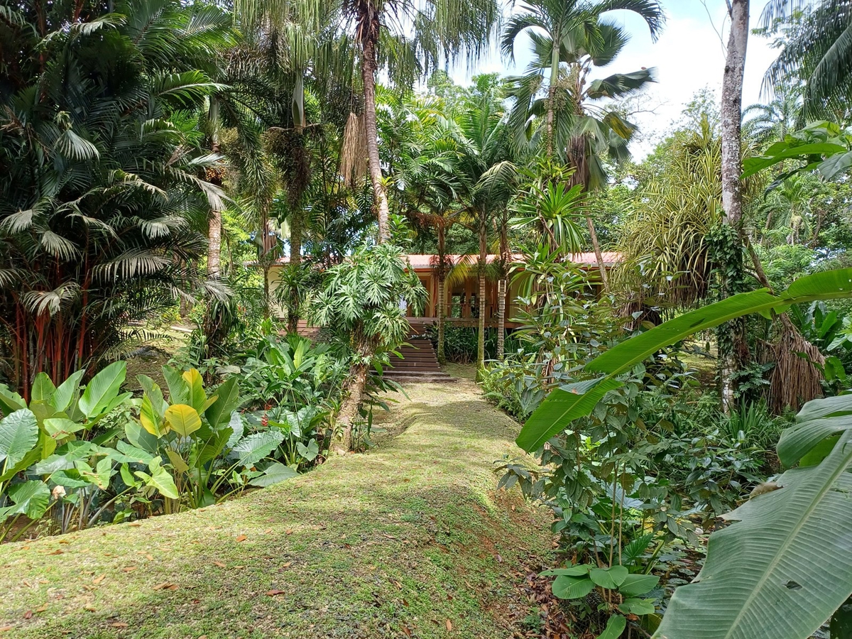 Luxury Jungle Villa with Pool — Isla Colón, Bocas del Toro - 7
