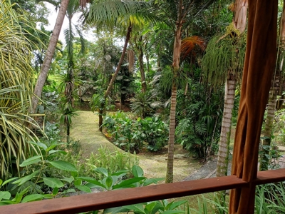 Tropical Island Villa with Lush Garden, Isla Colon - image 44