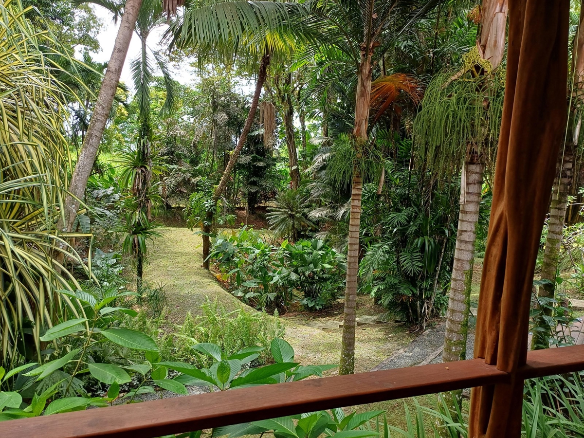 Luxury Jungle Villa with Pool — Isla Colón, Bocas del Toro - 33