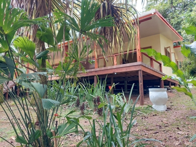 Tropical Island Villa with Lush Garden, Isla Colon - image 23