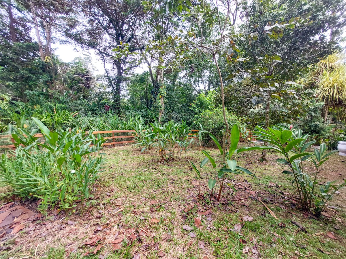 Luxury Jungle Villa with Pool — Isla Colón, Bocas del Toro - 3