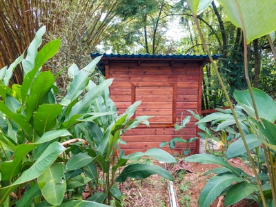 Tropical Island Villa with Lush Garden, Isla Colon - image 2