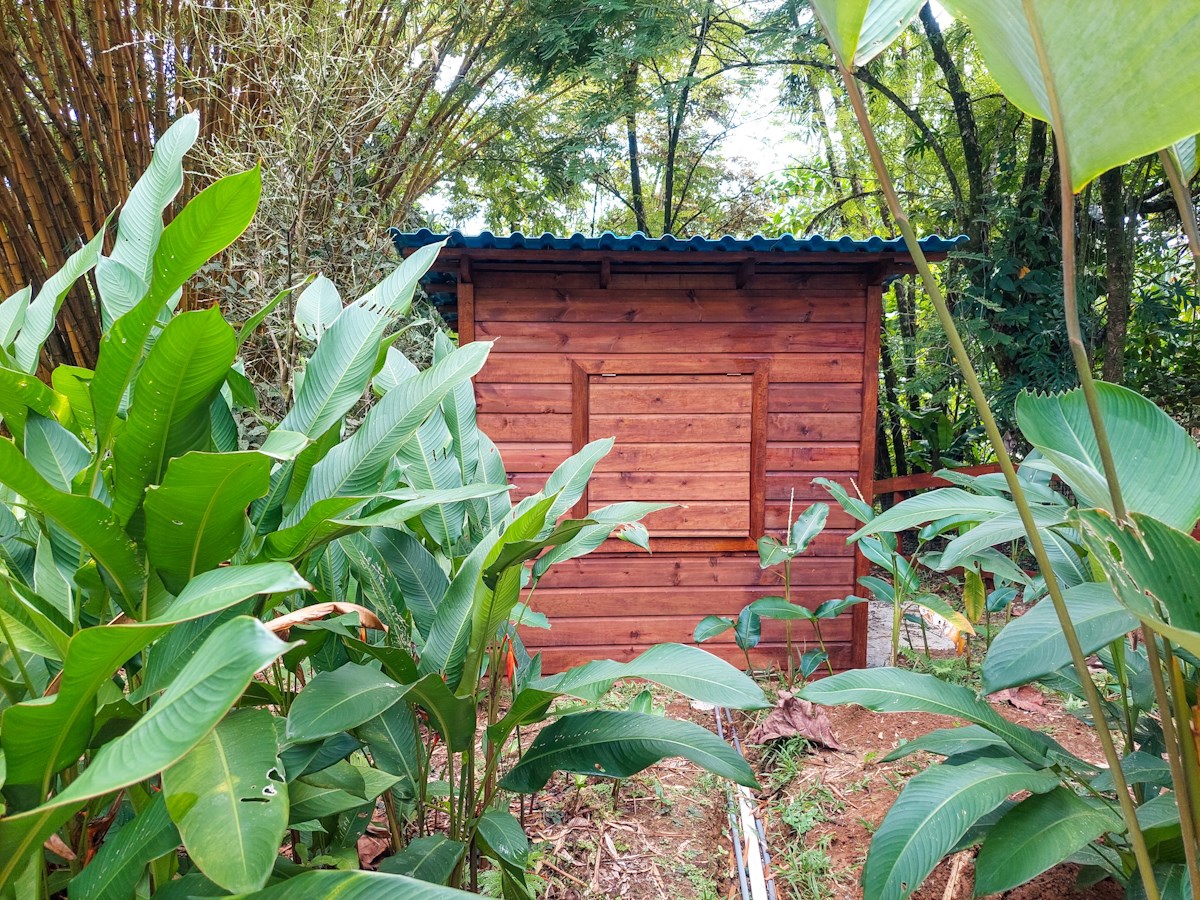 Luxury Jungle Villa with Pool — Isla Colón, Bocas del Toro - 36