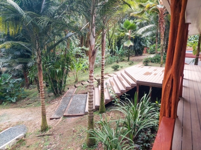 Tropical Island Villa with Lush Garden, Isla Colon - image 13