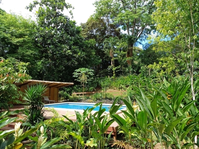 Tropical Island Villa with Lush Garden, Isla Colon - image 34