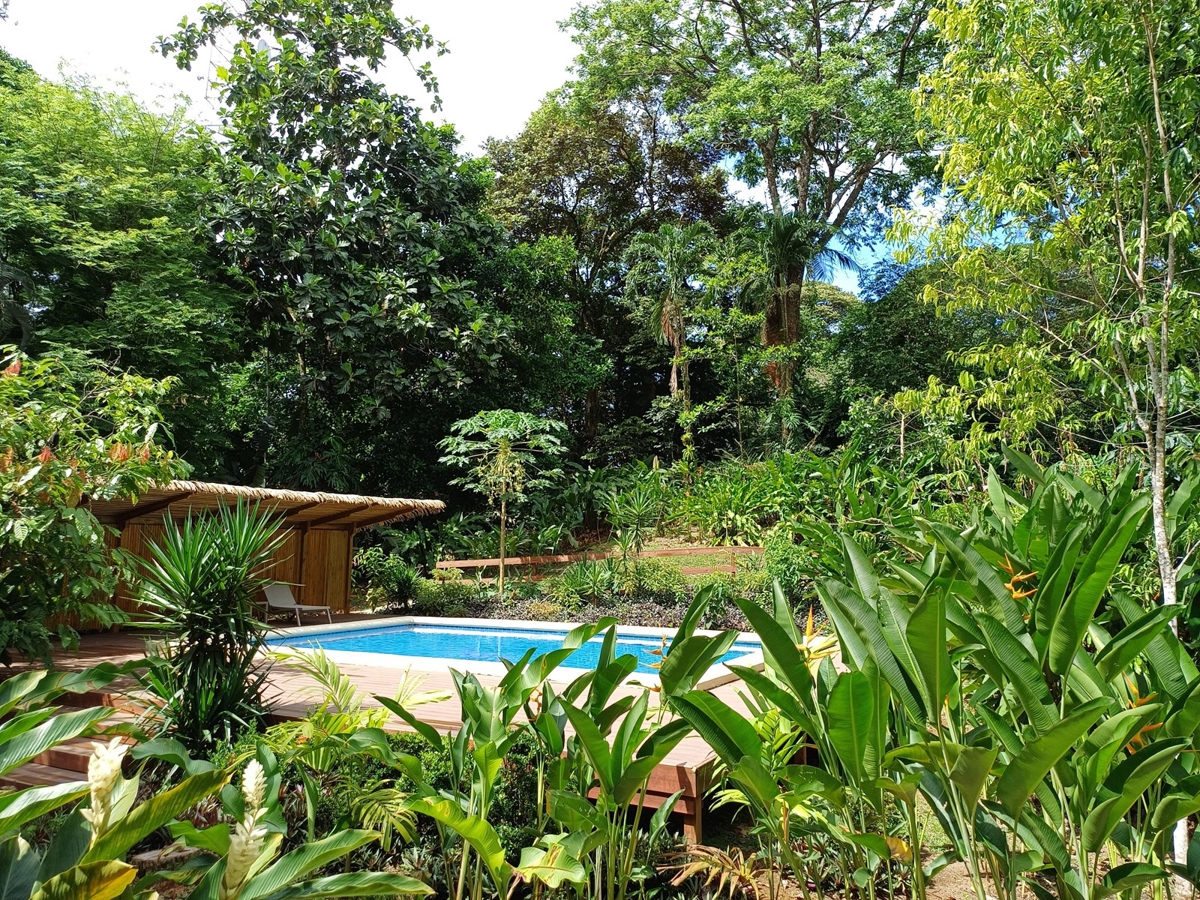 Luxury Jungle Villa with Pool — Isla Colón, Bocas del Toro - 4