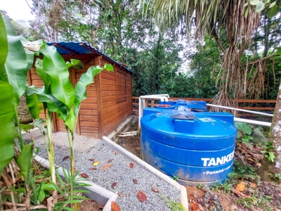 Tropical Island Villa with Lush Garden, Isla Colon - image 22
