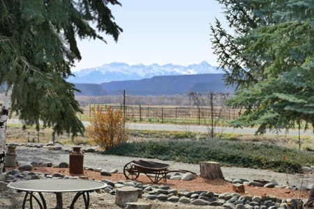 CO Equine Southwest Style Home on Acreage no HOA - image 7