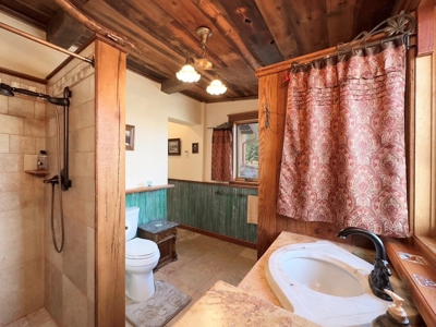 CO Equine Southwest Style Home on Acreage no HOA - image 21