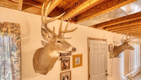 Home with land and amazing views, Sparta, WI - image 7