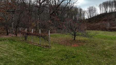 Home with land and amazing views, Sparta, WI - image 18
