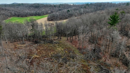 Home with land and amazing views, Sparta, WI - image 24