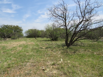 Home Lot 780 in King's Point Cove Resort at LakeBrownwood TX - image 23