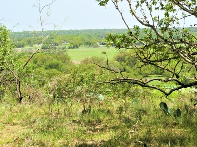 Home Lot 780 in King's Point Cove Resort at LakeBrownwood TX - image 24