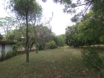 1.5 Hectar lot for sale in Las Uvas de San Carlos - image 6
