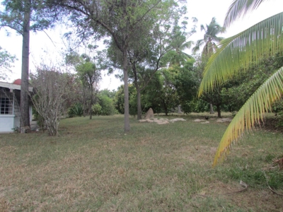 1.5 Hectar lot for sale in Las Uvas de San Carlos - image 12