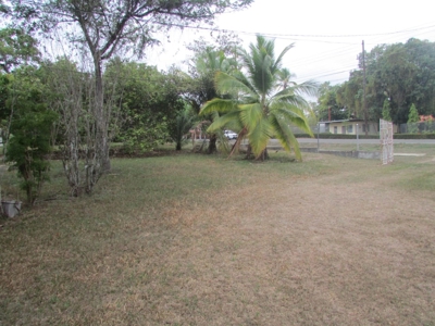 1.5 Hectar lot for sale in Las Uvas de San Carlos - image 13