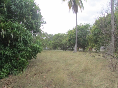 1.5 Hectar lot for sale in Las Uvas de San Carlos - image 7