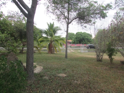 1.5 Hectar lot for sale in Las Uvas de San Carlos - image 5