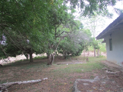1.5 Hectar lot for sale in Las Uvas de San Carlos - image 1